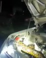 Así fue el hallazgo de una sicurí en el motor de un vehículo en Puerto Quijarro