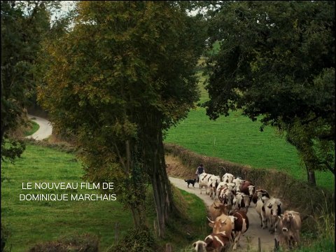 La Rivière Bande-annonce VF