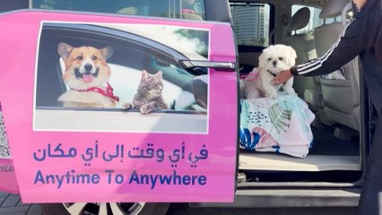 Check Out This Amazing Pet Taxi Service Taking Dubai By Storm