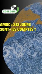 Amoc : Ses jours sont-ils comptés ?