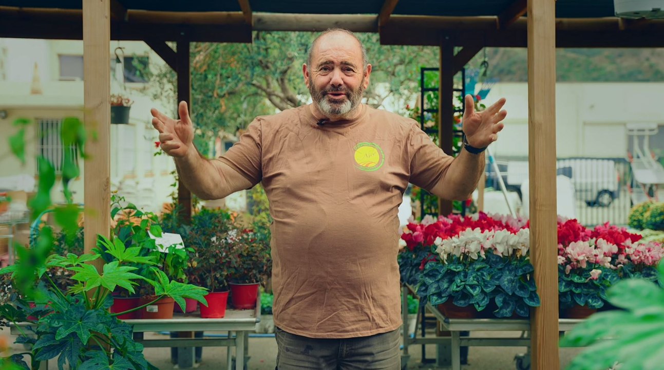 La Coopérative Agricole de Nice : l'automne, la saison idéale pour récolter les olives de son jardin