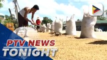 BOC says tariff collections for rice imports nearing P20B