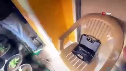 Bayrampaşa'da Gizli Bölmede Hint Keneviri Yetiştiriciliği Operasyonu