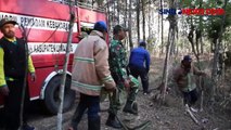 Musim Kering Ekstrem, 5 Hektare Hutan Pinus Terbakar di Lumajang