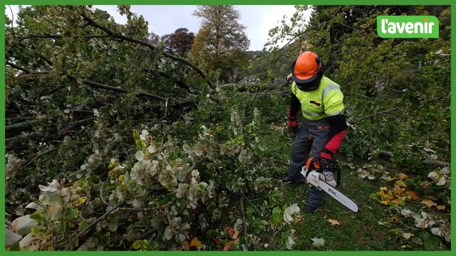 Les pompiers de la zone Nage en intervention dans le parc de la Plante ( Namur )