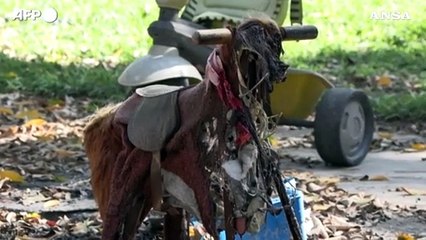 Israele, il dolore dopo il massacro nella comunita' di Nir Oz