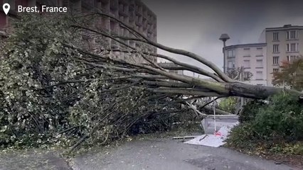 Deadly storms hit France and mainland Europe