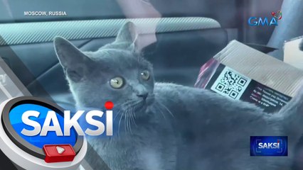 Pusang na-trap sa loob ng kotse, naligtas | Saksi