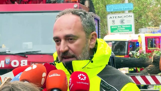 Un árbol mata a una joven al caerle encima en una calle de Chamberí