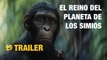 El reino del planeta de los simios - Trailer español