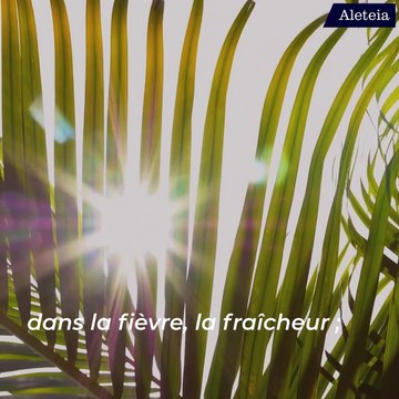 Une prière pour accueillir l'Esprit saint