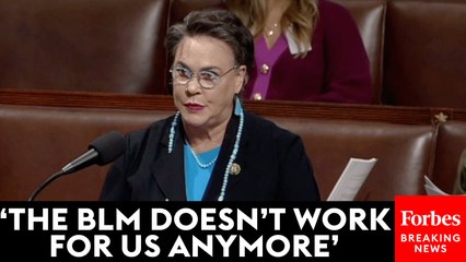 JUST IN: Harriet Hageman Demands 50% Slash To The Bureau Of Land Management's Budget