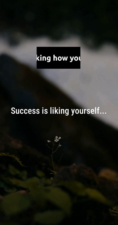 - Success is liking yourself...?