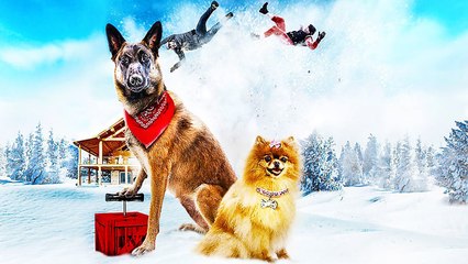 Doggy Dog | Film Complet en Français – Aventure Familiale au Canada 🇨🇦
