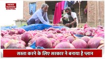 Onion Price : Rajasthan के अलवर में प्याज के खेती करने वाले किसान परेशान