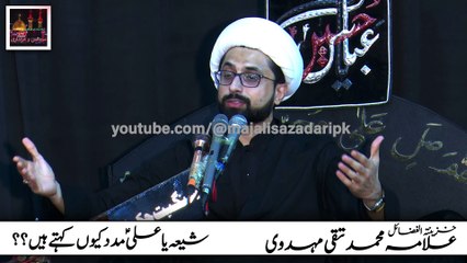 Shia Ya Ali Madad Kyun kehtay hain? Maulana Muhammad Taqi Mehdavi | Tareekhi Bayan o Majlis