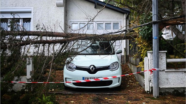 Yellow weather warning issued as Storm Ciarán ravages the UK, this is how it’ll affect your travel