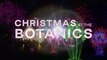 Christmas At The Botanics  2023 to celebrate beauty of Royal Botanic Garden Edinburgh