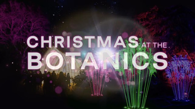 Christmas At The Botanics 2023 to celebrate beauty of Royal Botanic Garden Edinburgh