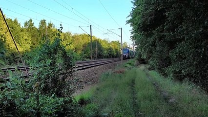 Train MFPN Ter et Transilien au soir