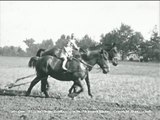 88 Pflügen mit 2-Schar-Beetpflug