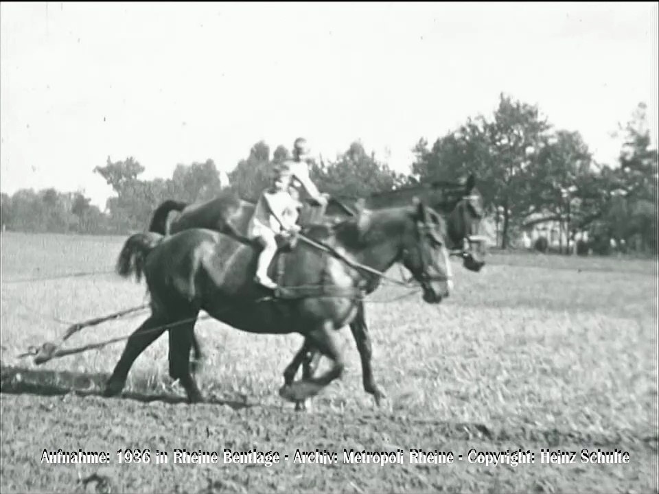 88 Pflügen mit 2-Schar-Beetpflug