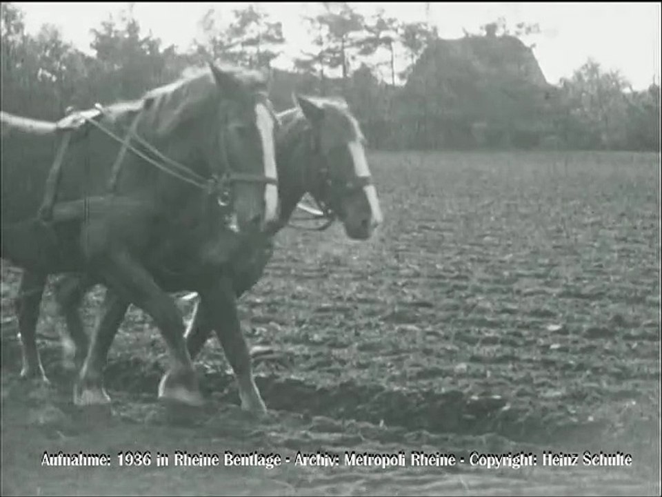 177 Pflügen mit dem Kipppflug