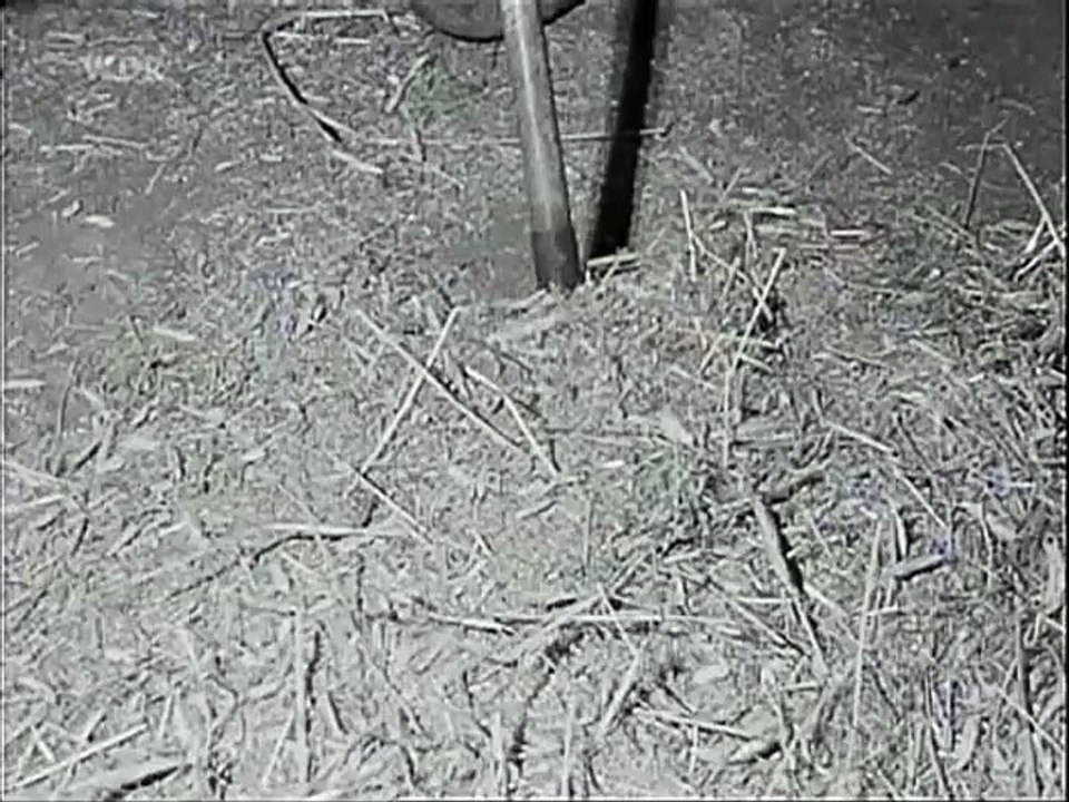 5253 Kornreinigung mit der Wannenmühle