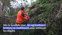 Ciaran : les agriculteurs bretons se mobilisent après le passage de la tempête