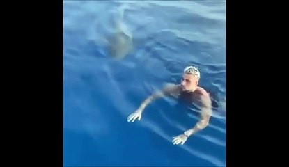 Ce touriste rencontre un requin... pas rassurant