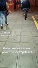 Perrito del Metropolitano fue visto sin su uniforme: "No puede ser"