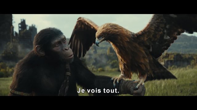 La Planète des Singes Le Nouveau Royaume : bande-annonce VOST