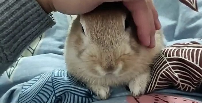 August Skye - Servicing The Mechanic