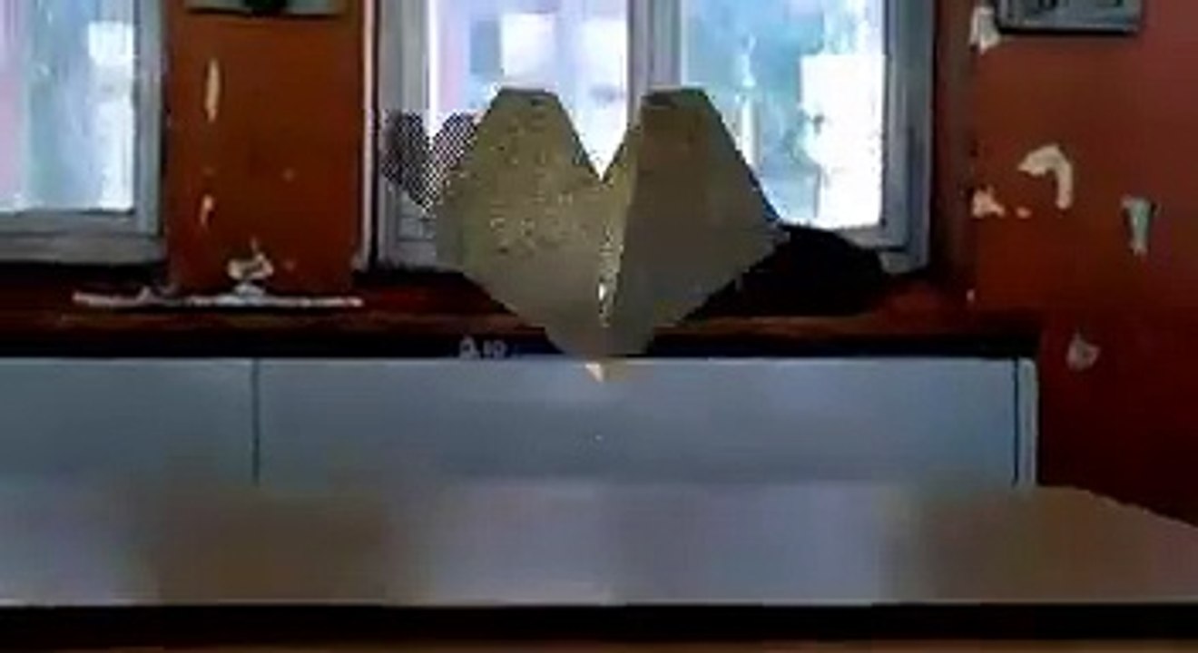 Havacı Gençlik Projesi (3)