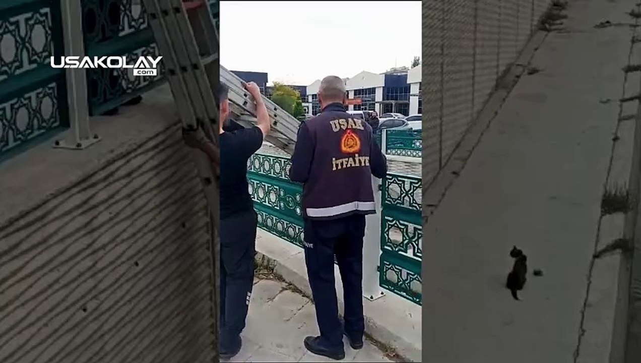Uşak'ta Dere Kanalında Mahsur Kalan Kediyi İtfaiye Kurtardı