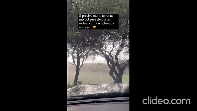 Rita Ferro Rodrigues filho mau tempo
