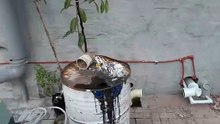 New pipes for toilet