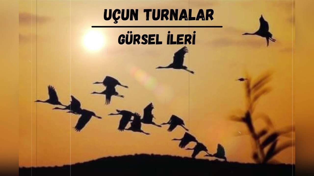 Gürsel İleri - Uçun Turnalar
