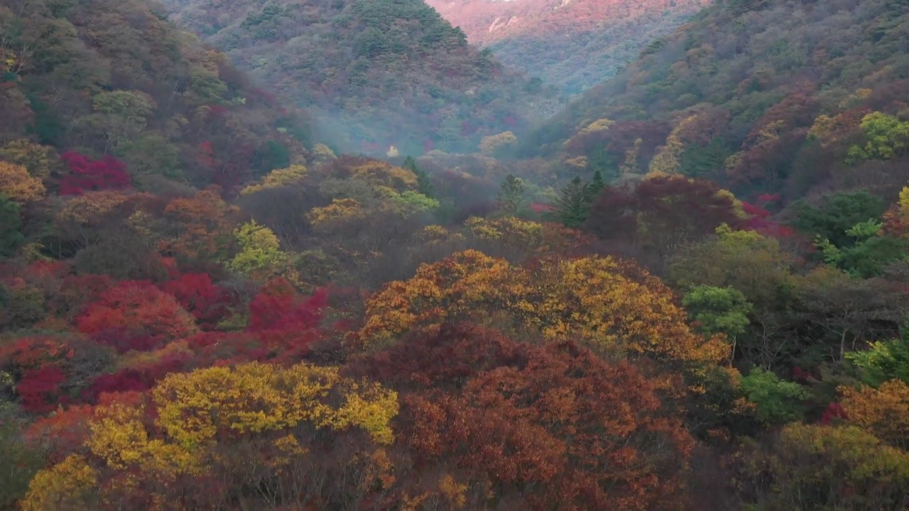 정읍 내장산 단풍, 이번 주말∼다음 주 절정 예상 / YTN