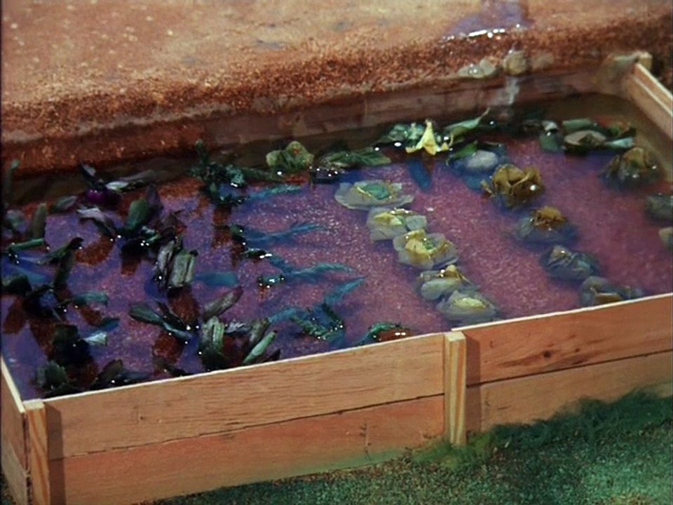 Pat & Mat E25 Korčule (Łyżwy)