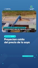 Proyectan caída del precio de la soya