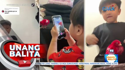 Batang TikTokerist at alaga niyang sisiw, pinusuan ng netizens | UB