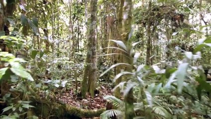 Dá para transformar dióxido de carbono em energia, mostra pesquisa