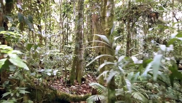 Dá para transformar dióxido de carbono em energia, mostra pesquisa