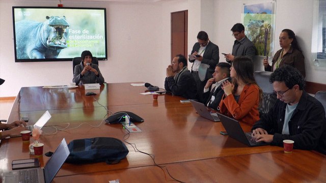 Colombia matará a algunos hipopótamos de Pablo Escobar