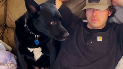 Woman Brings Home A Dog Hoping Her Family Gets Along With Him