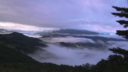 The most spectacular view ever What does it feel like to camp on the clouds-ㅣJjolmyeon Pork Belly & Pollack Roe Pot RiceㅣSolo CampingㅣNatural ASMR