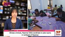 Chinese criminals, Myanmar EAOs coordinate in cyber-scams in northeast of Myanmar