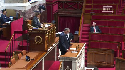 1ère séance : Projet de loi de finances pour 2024 (seconde partie) : Investir pour la France de 2030 ; Plan de relance - Jeudi 2 novembre 2023