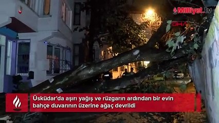 Üsküdar'da evin bahçe duvarına ağaç devrildi